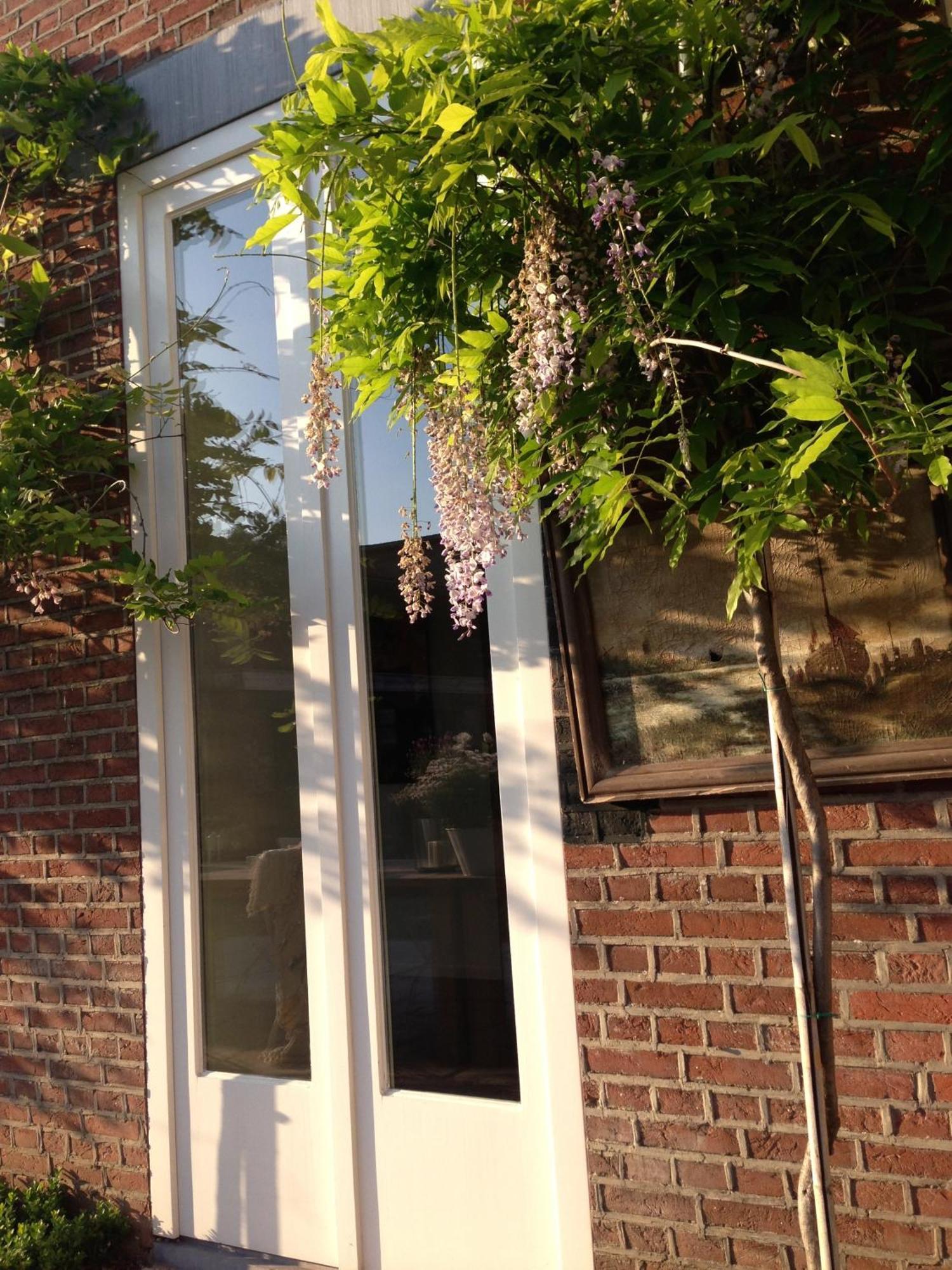 B&B Domaine Villa Bayard Kanne Quarto foto